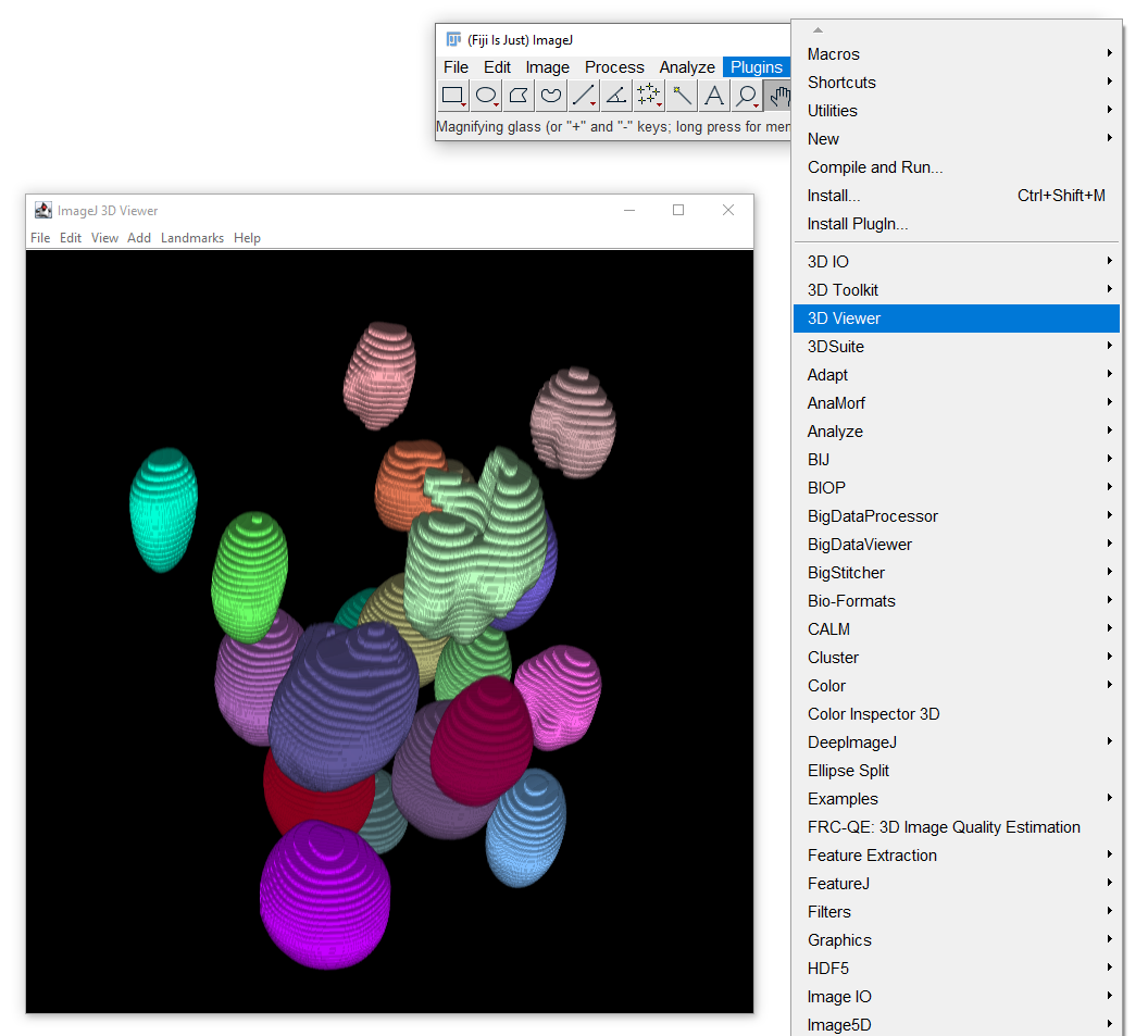 Nuclear Segmentation 3D Preview