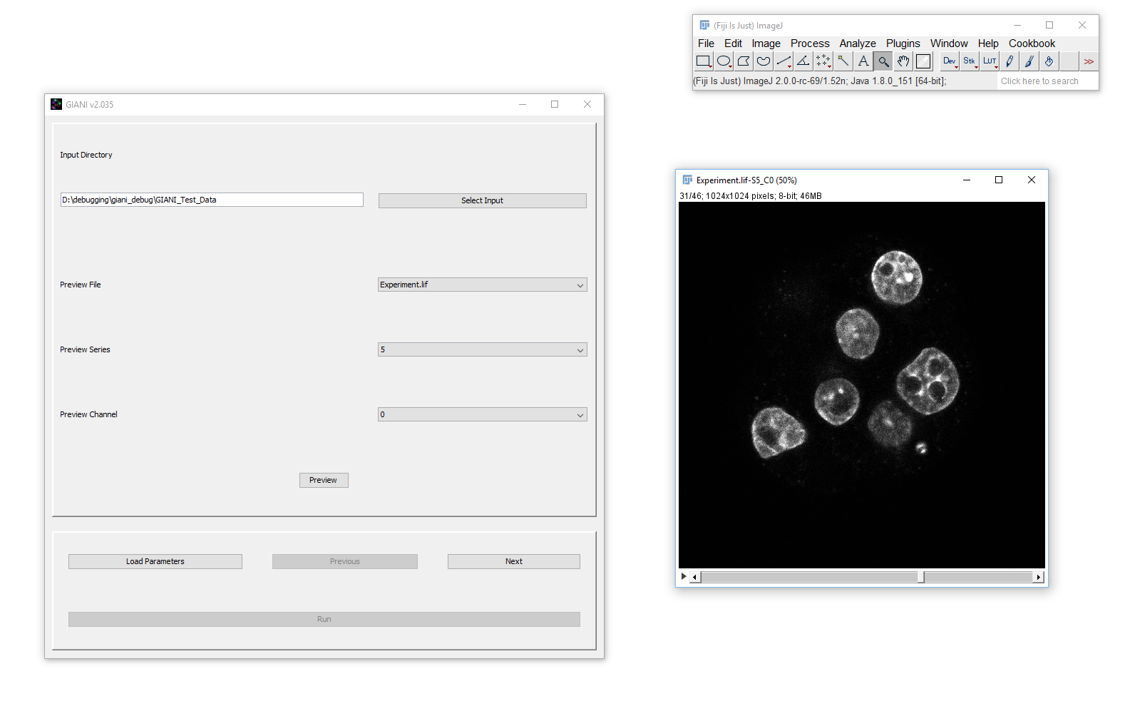 GIANI Select Input Preview Channel